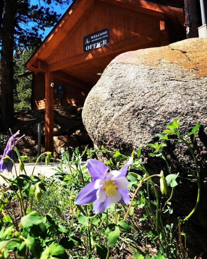 Vila Riverview Pines Estes Park Exteriér fotografie