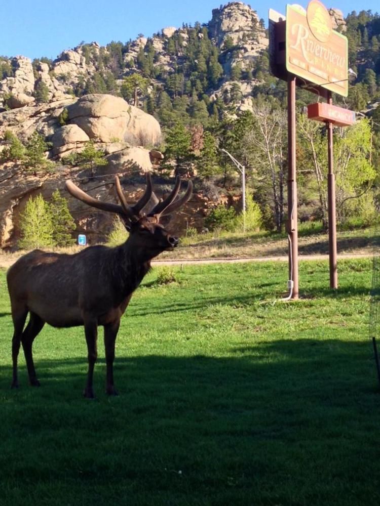 Vila Riverview Pines Estes Park Exteriér fotografie