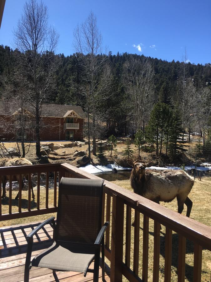 Vila Riverview Pines Estes Park Exteriér fotografie